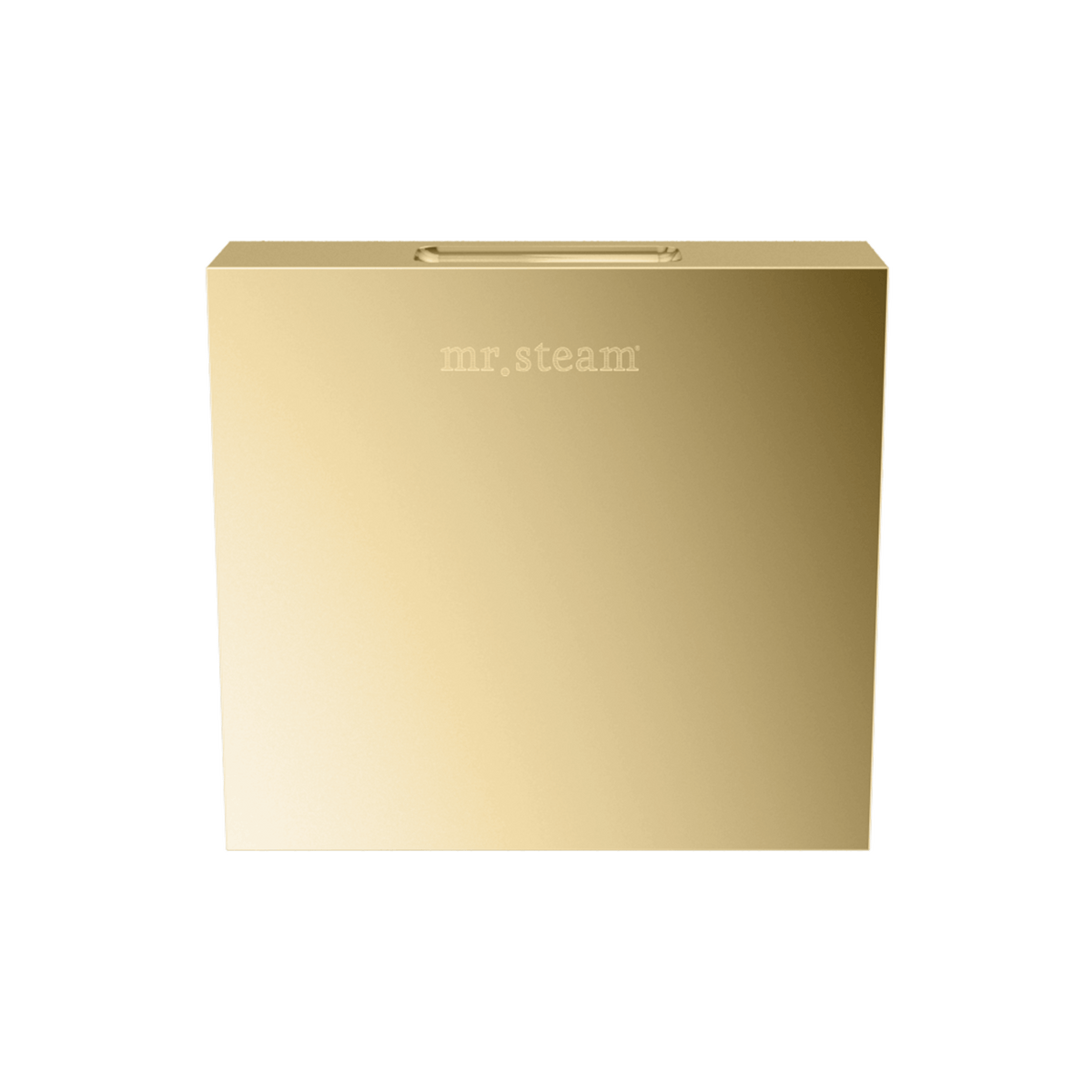 Mr. Steam Designer 3 in. Steamhead with AromaTherapy Reservoir – Round or Square, 8 Designer Finishes (104515/104516)