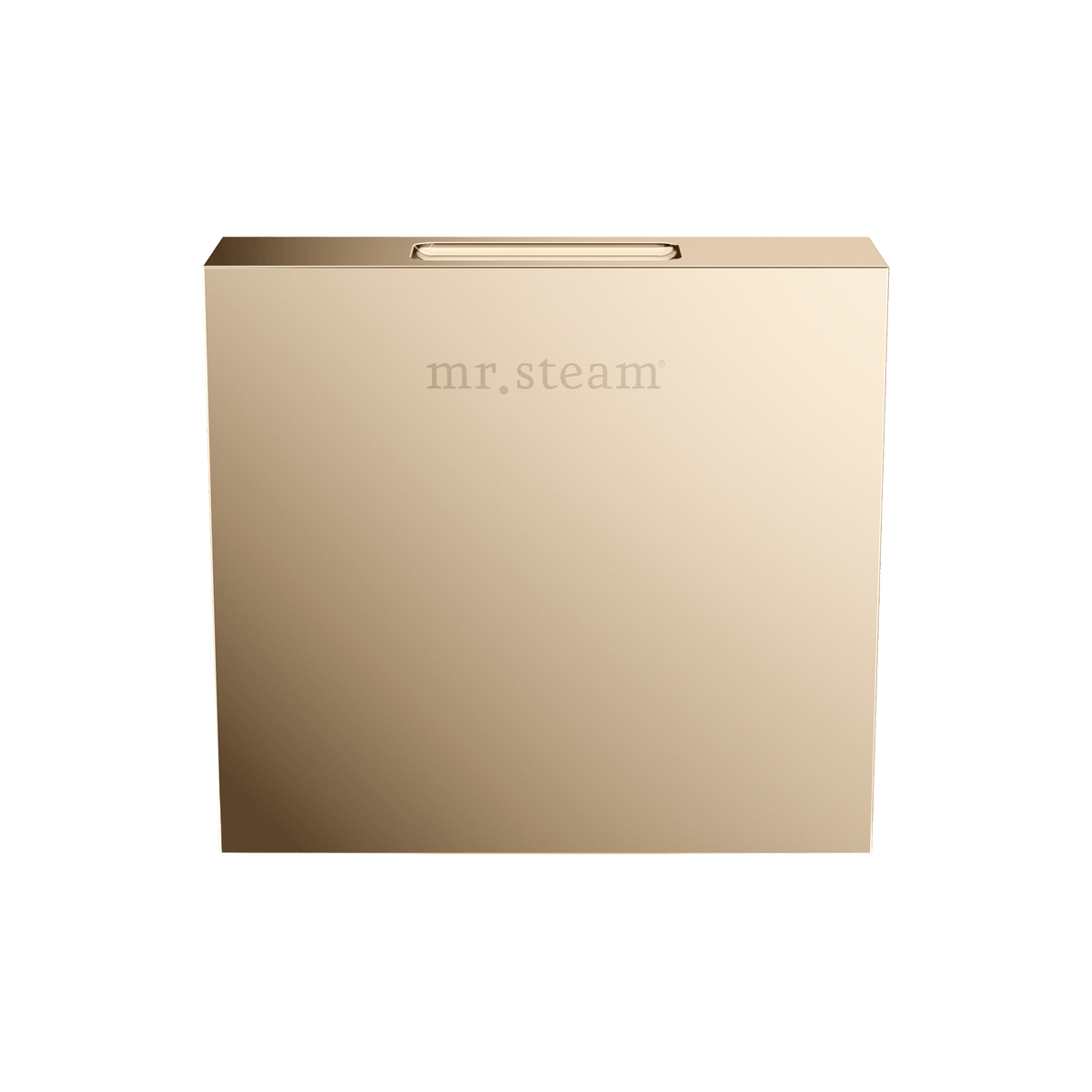 Mr. Steam Designer 3 in. Steamhead with AromaTherapy Reservoir – Round or Square, 8 Designer Finishes (104515/104516)