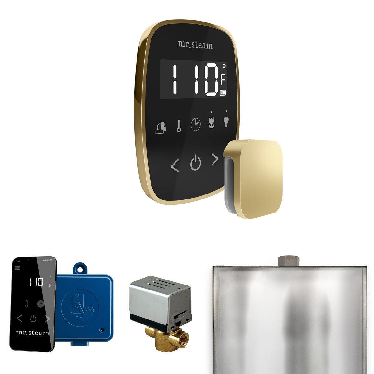 Mr. Steam ButlerFlex Steam Shower Control Package – Wireless TempoFlex Control, Aroma Steamhead, AutoFlush & SteamLinx for MS & Super Generators