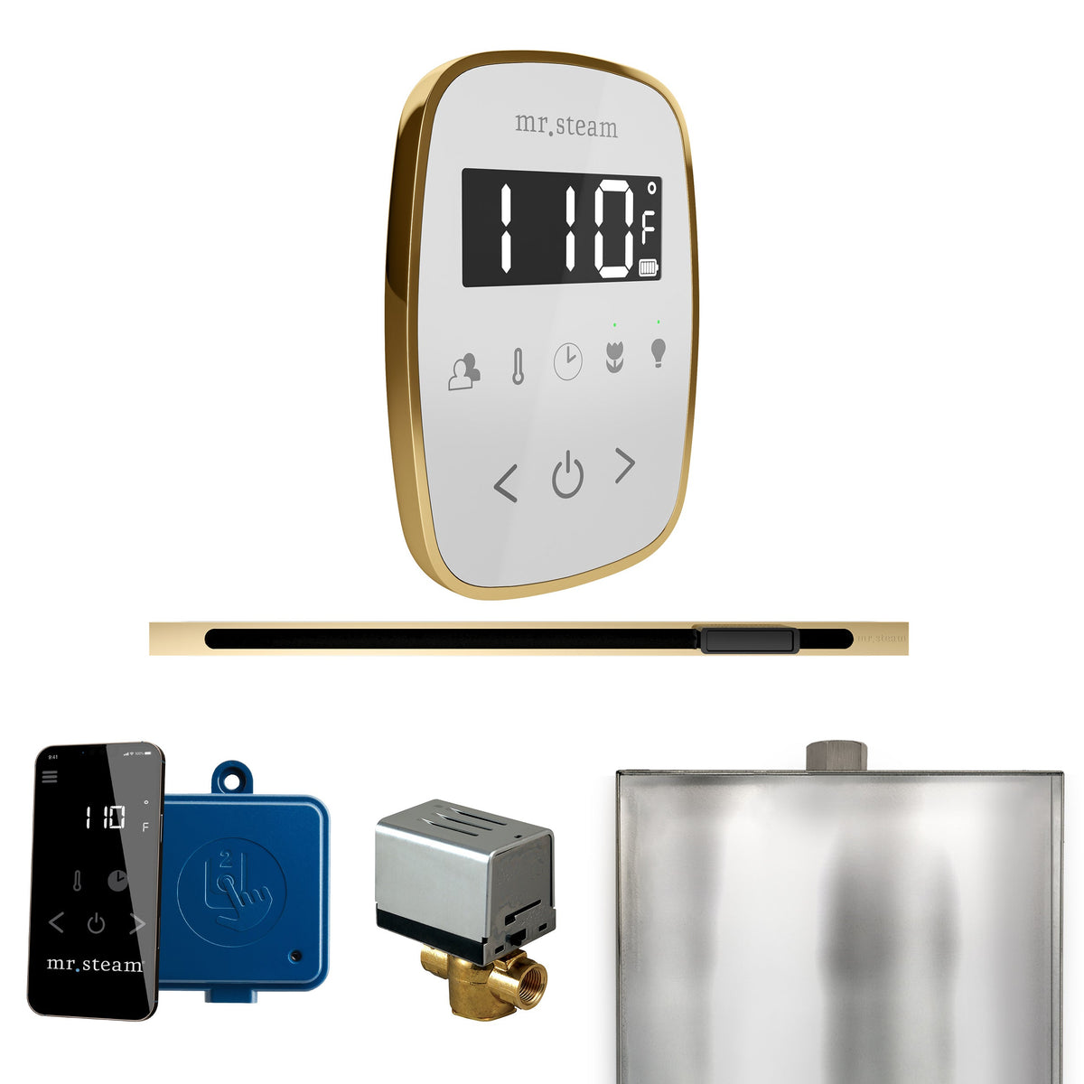 Mr. Steam ButlerFlex Linear Steam Shower Control Package – Wireless TempoFlex Control, Linear Steamhead & AutoFlush for MS & Super Generators