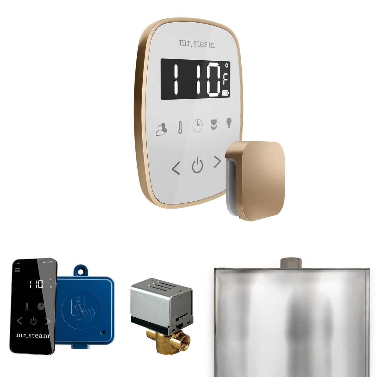 Mr. Steam ButlerFlex Steam Shower Control Package – Wireless TempoFlex Control, Aroma Steamhead, AutoFlush & SteamLinx for MS & Super Generators