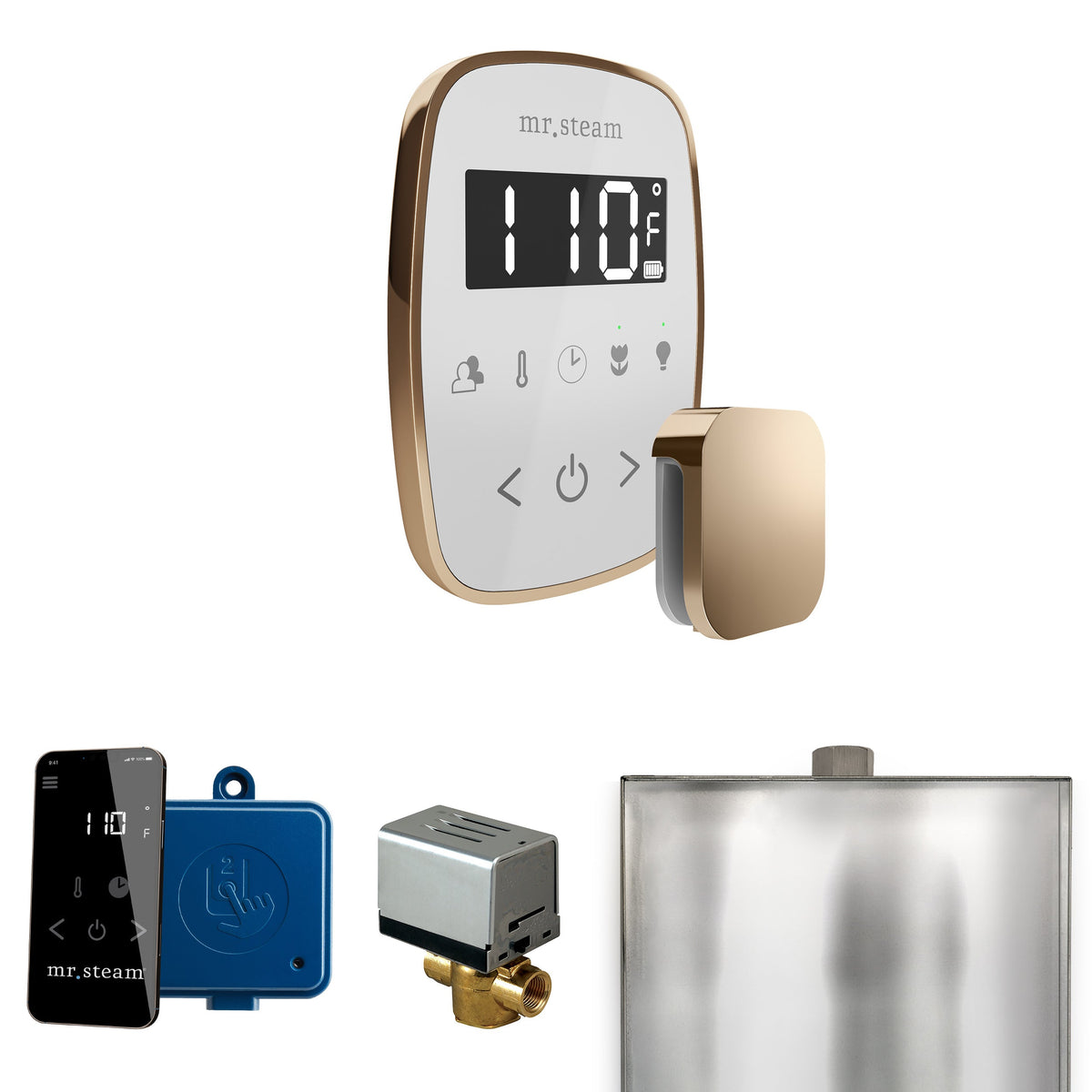 Mr. Steam ButlerFlex Steam Shower Control Package – Wireless TempoFlex Control, Aroma Steamhead, AutoFlush & SteamLinx for MS & Super Generators