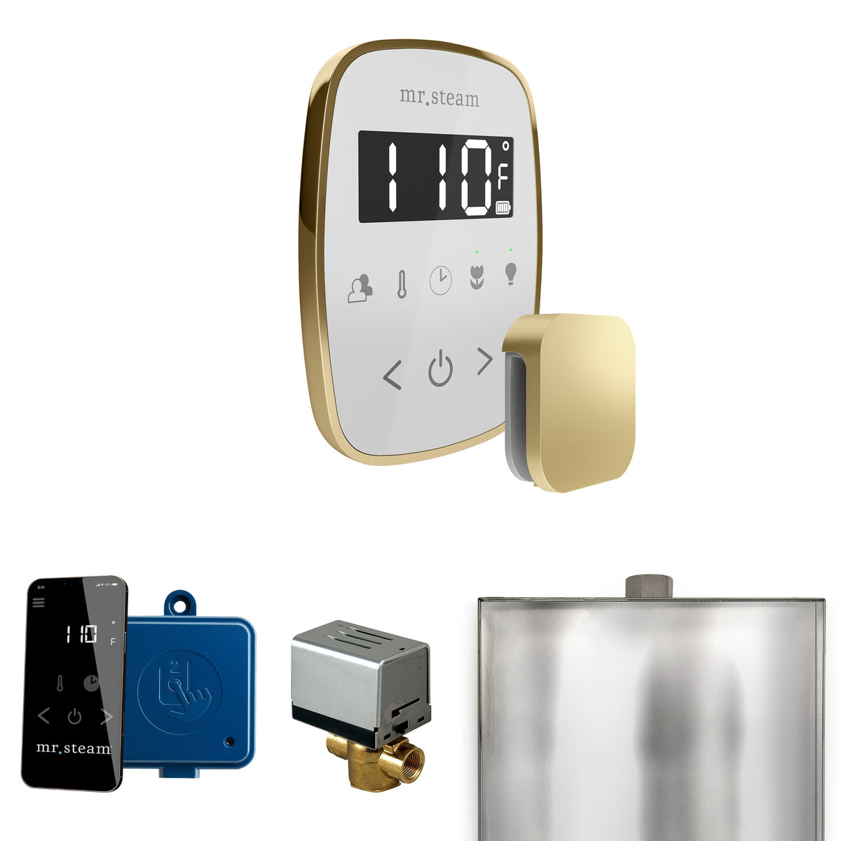 Mr. Steam ButlerFlex Steam Shower Control Package – Wireless TempoFlex Control, Aroma Steamhead, AutoFlush & SteamLinx for MS & Super Generators