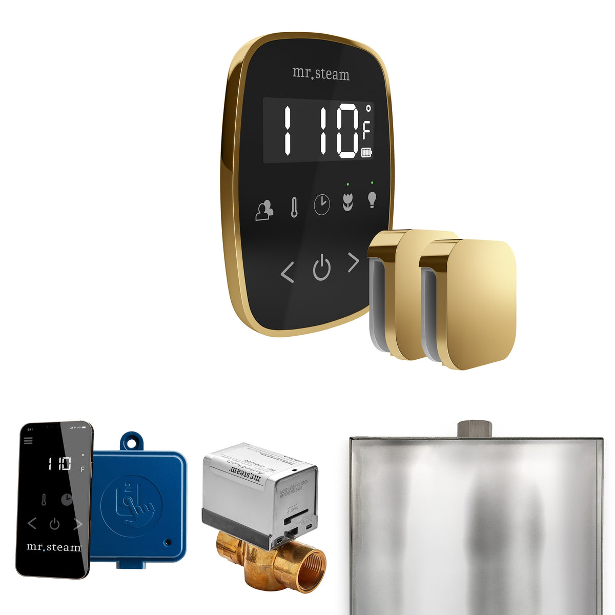 Mr. Steam ButlerFlex Max Steam Shower Control Package – Wireless TempoFlex Control, Aroma Steamhead, Max AutoFlush & SteamLinx for Max Generators
