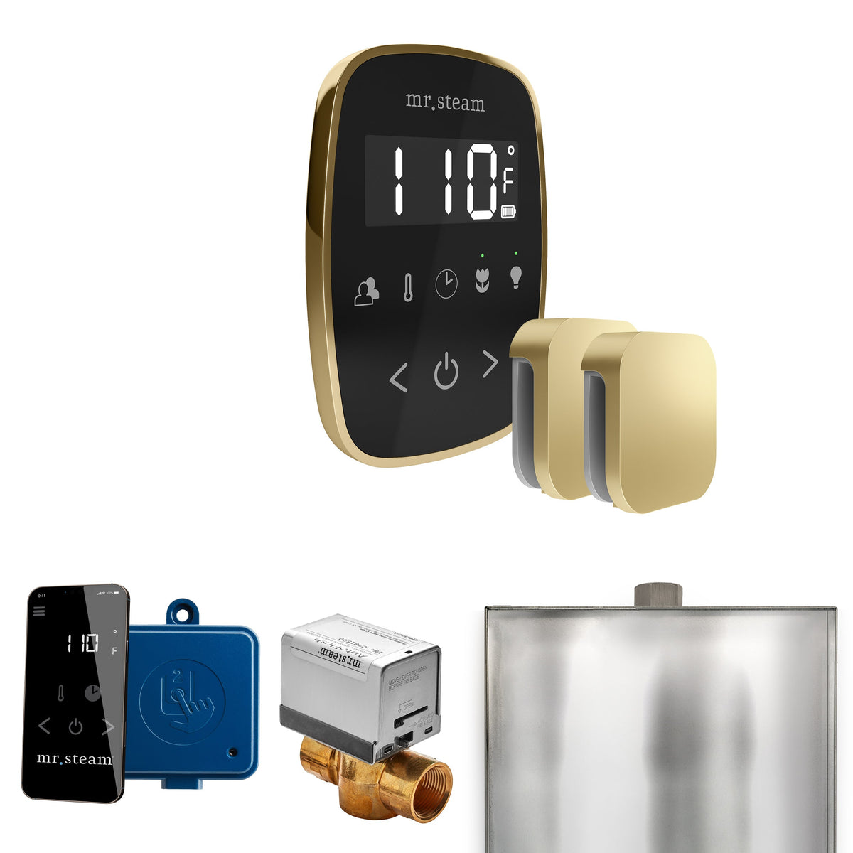 Mr. Steam ButlerFlex Max Steam Shower Control Package – Wireless TempoFlex Control, Aroma Steamhead, Max AutoFlush & SteamLinx for Max Generators
