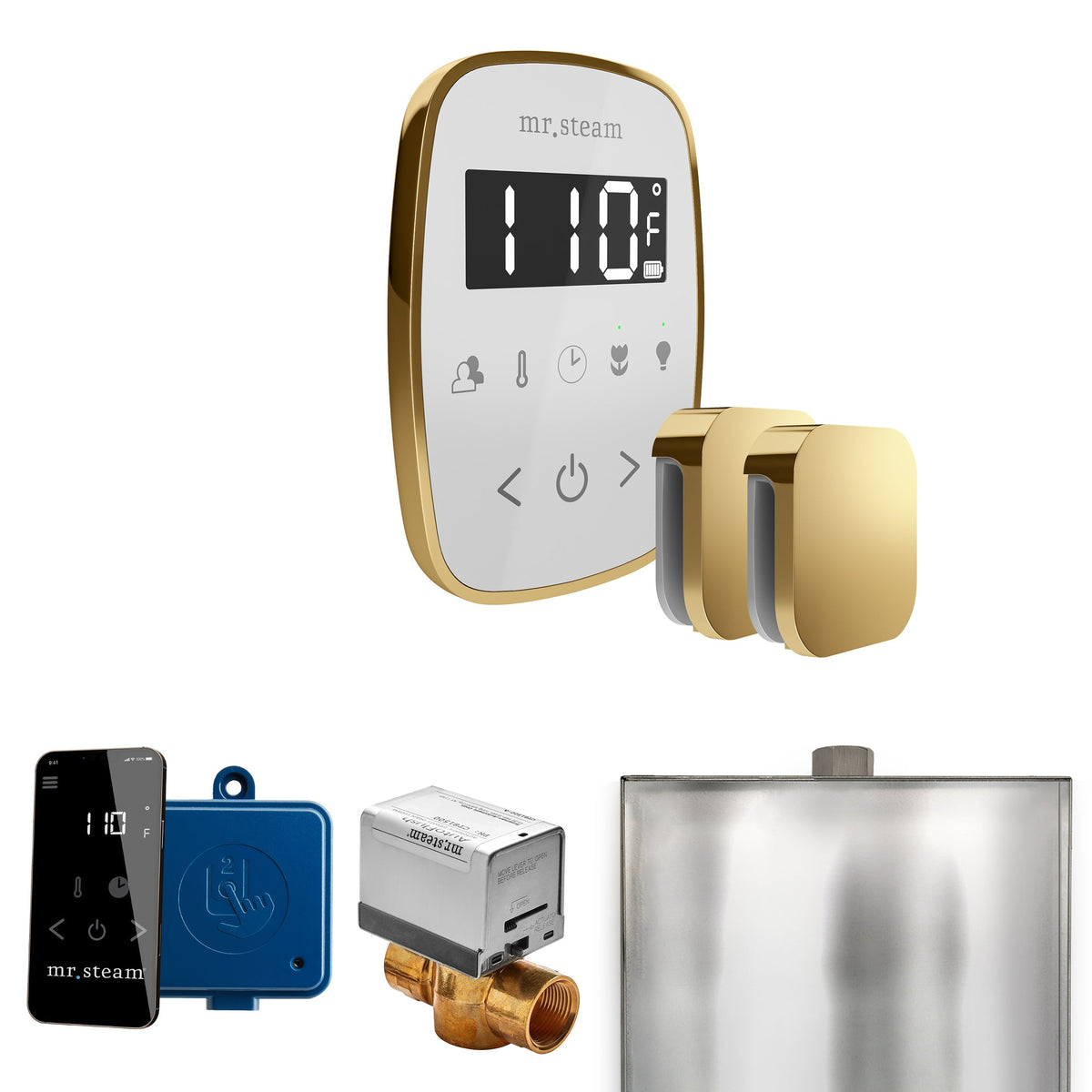 Mr. Steam ButlerFlex Max Steam Shower Control Package – Wireless TempoFlex Control, Aroma Steamhead, Max AutoFlush & SteamLinx for Max Generators