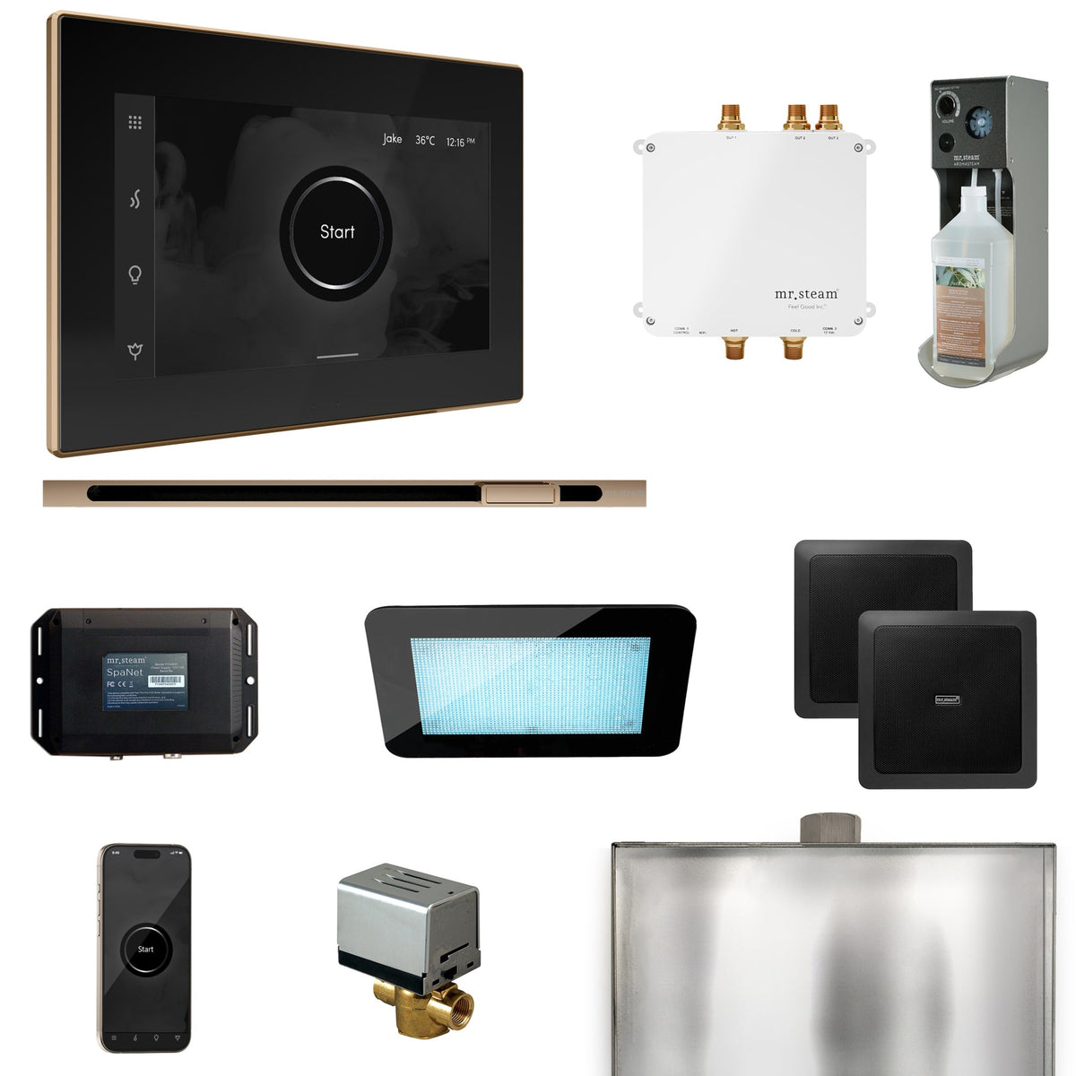 Mr. Steam Bliss Linear Steam Shower Package – iSteamX, Linear Steamhead, AudioX, ChromaSteam, AromaSteam & SpaH2O Valve for MS & Super Generators