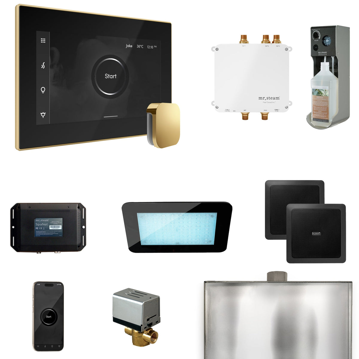 Mr. Steam Bliss Steam Shower Package – iSteamX, Aroma Steamhead, AudioX, ChromaSteam, AromaSteam & SpaH2O Valve for MS & Super Generators