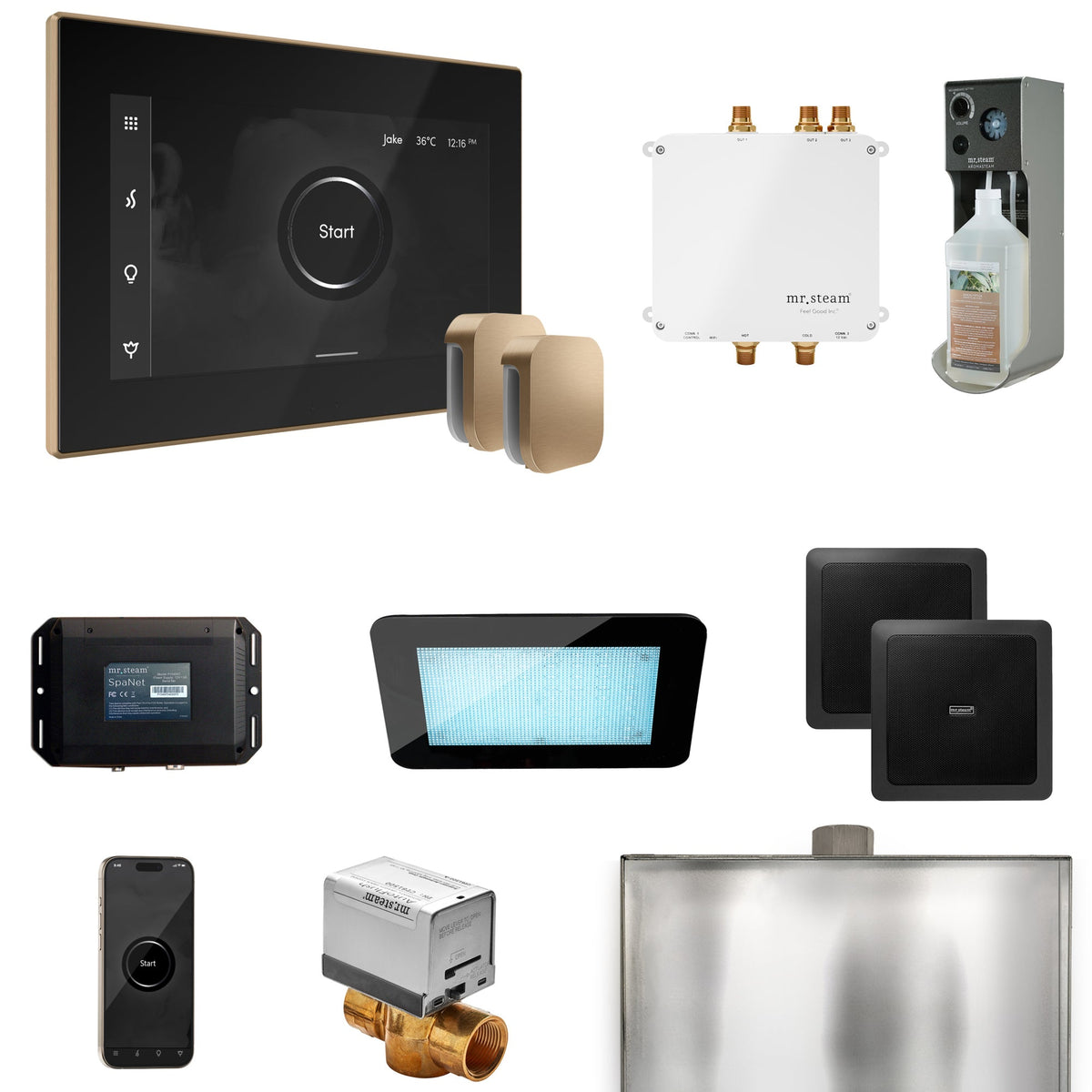 Mr. Steam Bliss Max Steam Shower Package – iSteamX, Aroma Steamhead, AudioX, ChromaSteam, AromaSteam & SpaH2O Valve for Max Generators