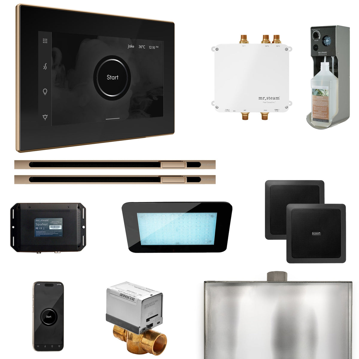 Mr. Steam Bliss Max Linear Steam Shower Package – iSteamX, Linear Steamhead, AudioX, ChromaSteam, AromaSteam & SpaH2O Valve for Max Generators