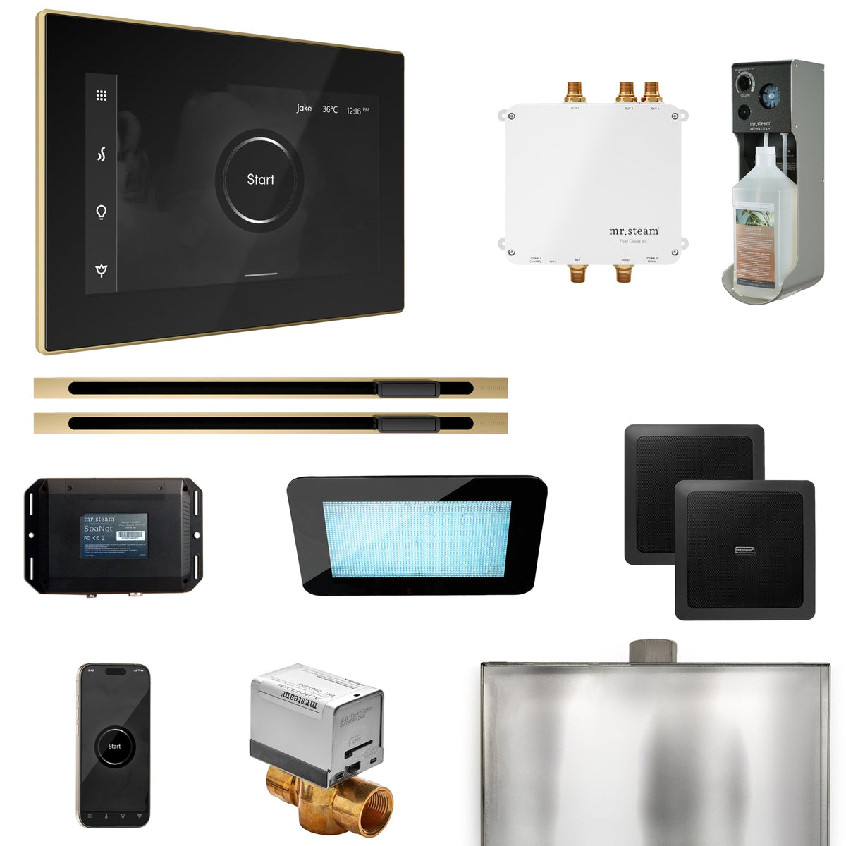 Mr. Steam Bliss Max Linear Steam Shower Package – iSteamX, Linear Steamhead, AudioX, ChromaSteam, AromaSteam & SpaH2O Valve for Max Generators