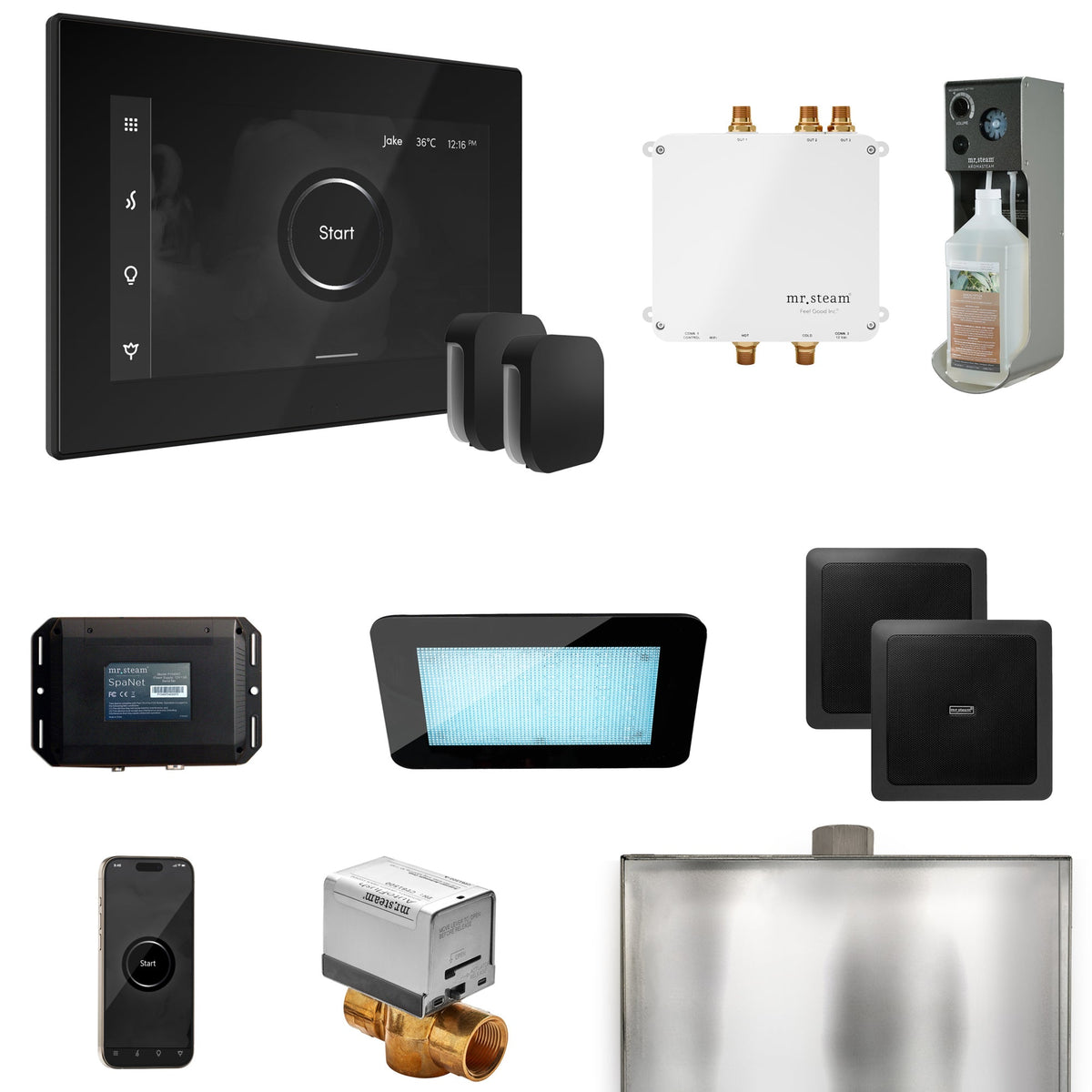 Mr. Steam Bliss Max Steam Shower Package – iSteamX, Aroma Steamhead, AudioX, ChromaSteam, AromaSteam & SpaH2O Valve for Max Generators