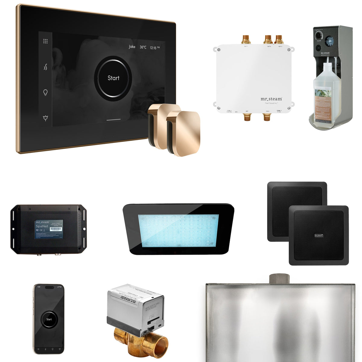 Mr. Steam Bliss Max Steam Shower Package – iSteamX, Aroma Steamhead, AudioX, ChromaSteam, AromaSteam & SpaH2O Valve for Max Generators