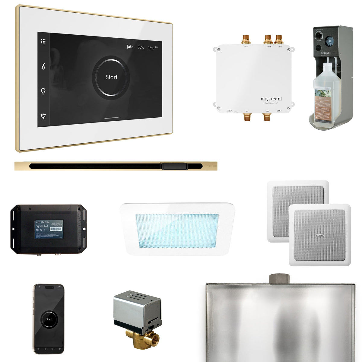 Mr. Steam Bliss Linear Steam Shower Package – iSteamX, Linear Steamhead, AudioX, ChromaSteam, AromaSteam & SpaH2O Valve for MS & Super Generators