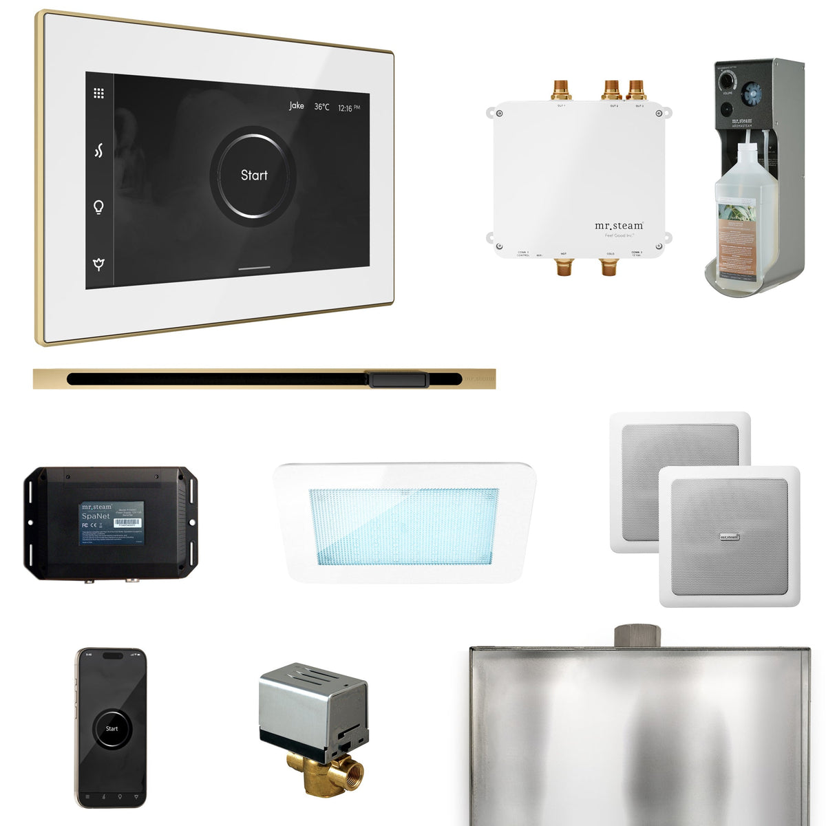 Mr. Steam Bliss Linear Steam Shower Package – iSteamX, Linear Steamhead, AudioX, ChromaSteam, AromaSteam & SpaH2O Valve for MS & Super Generators