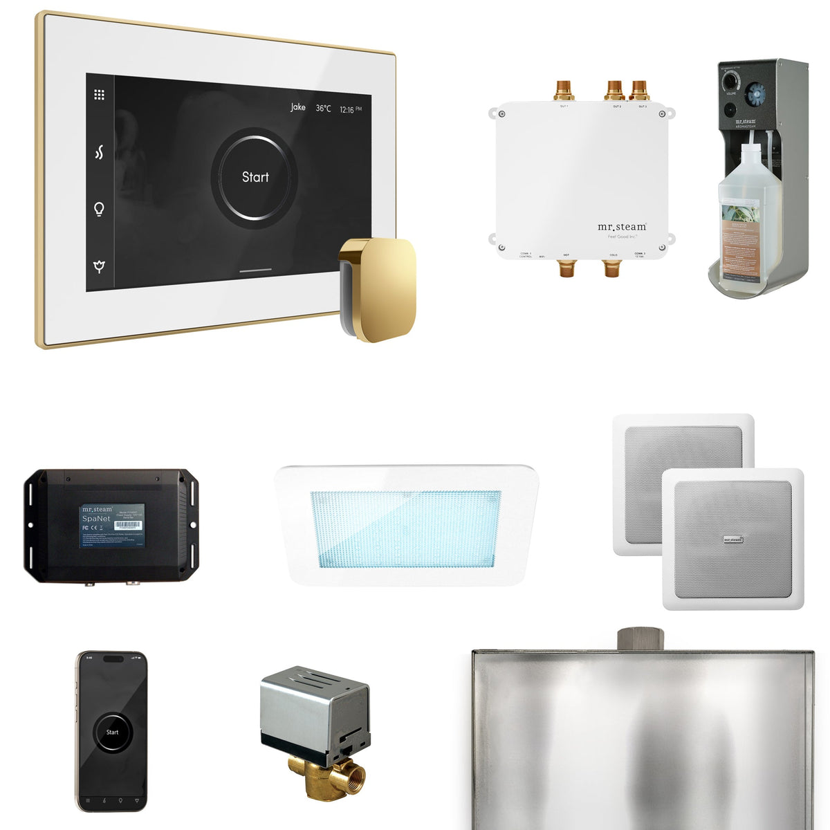 Mr. Steam Bliss Steam Shower Package – iSteamX, Aroma Steamhead, AudioX, ChromaSteam, AromaSteam & SpaH2O Valve for MS & Super Generators
