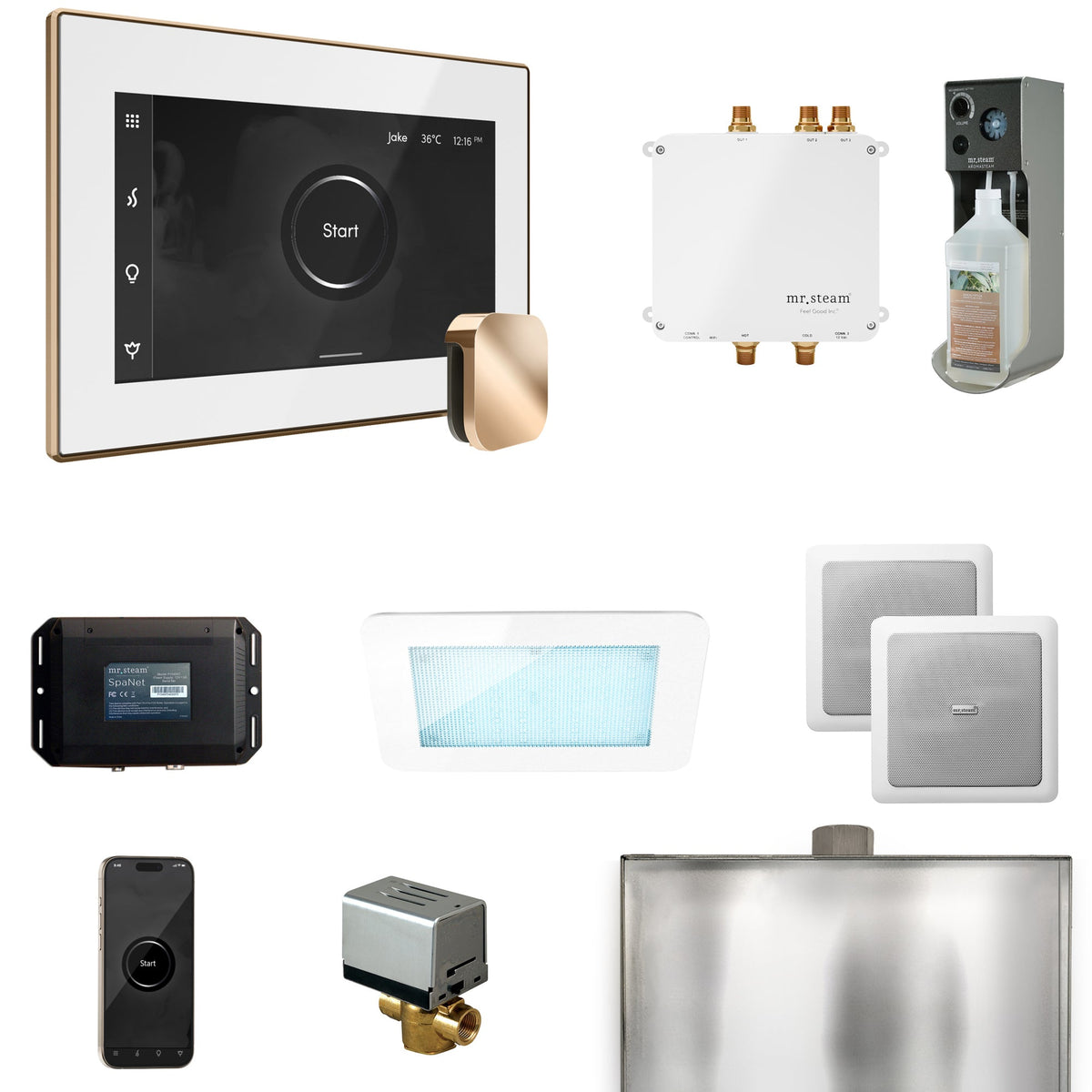 Mr. Steam Bliss Steam Shower Package – iSteamX, Aroma Steamhead, AudioX, ChromaSteam, AromaSteam & SpaH2O Valve for MS & Super Generators