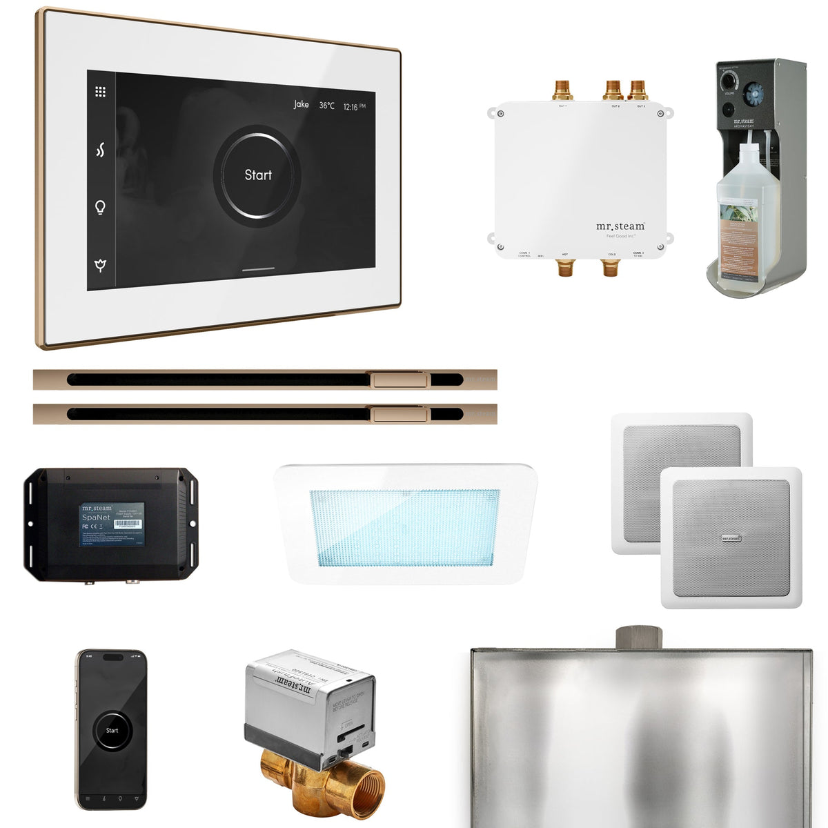 Mr. Steam Bliss Max Linear Steam Shower Package – iSteamX, Linear Steamhead, AudioX, ChromaSteam, AromaSteam & SpaH2O Valve for Max Generators