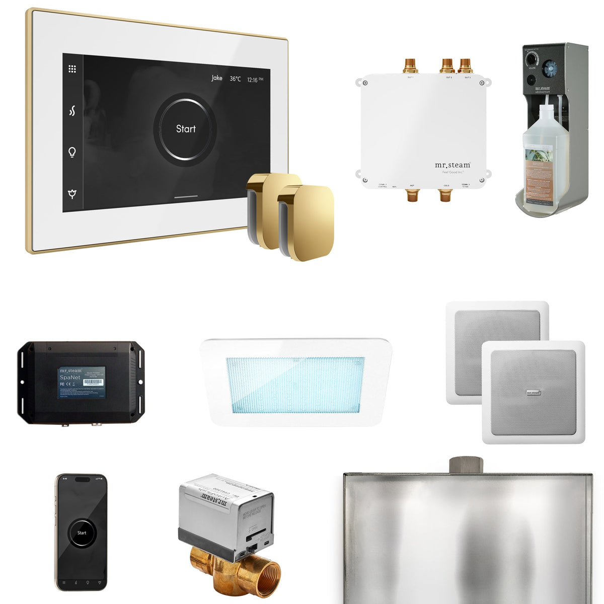 Mr. Steam Bliss Max Steam Shower Package – iSteamX, Aroma Steamhead, AudioX, ChromaSteam, AromaSteam & SpaH2O Valve for Max Generators