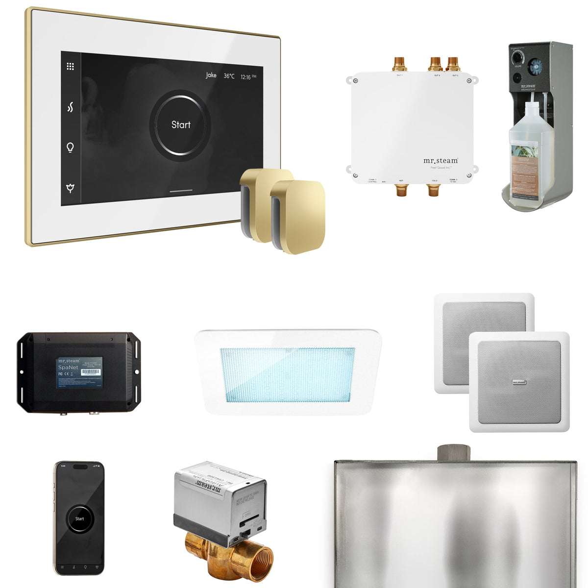 Mr. Steam Bliss Max Steam Shower Package – iSteamX, Aroma Steamhead, AudioX, ChromaSteam, AromaSteam & SpaH2O Valve for Max Generators
