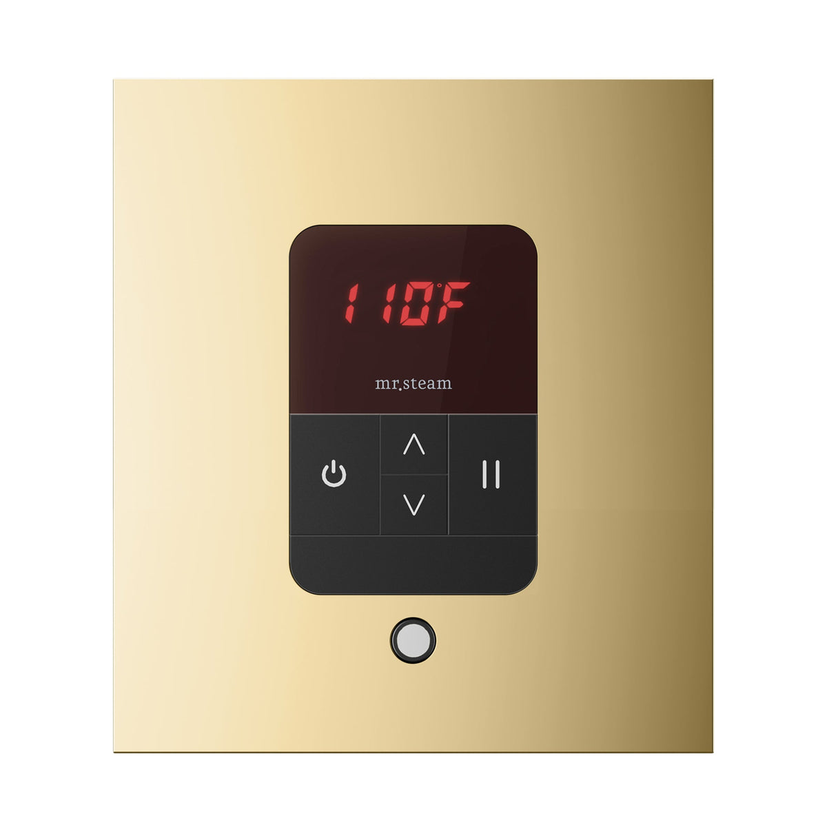 Mr. Steam iTempo Steam Shower Control and Steamhead – Round or Square, Flush-Mount, 8 Designer Finishes