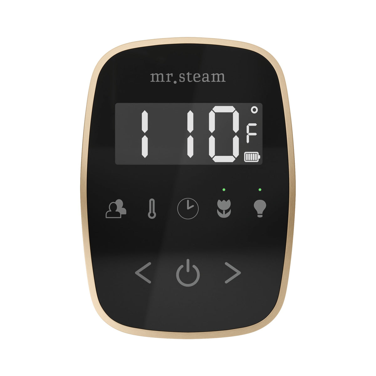 Mr. Steam TempoFlex Wireless Steam Shower Control and Steamhead – Black Control, 8 Steamhead Finishes
