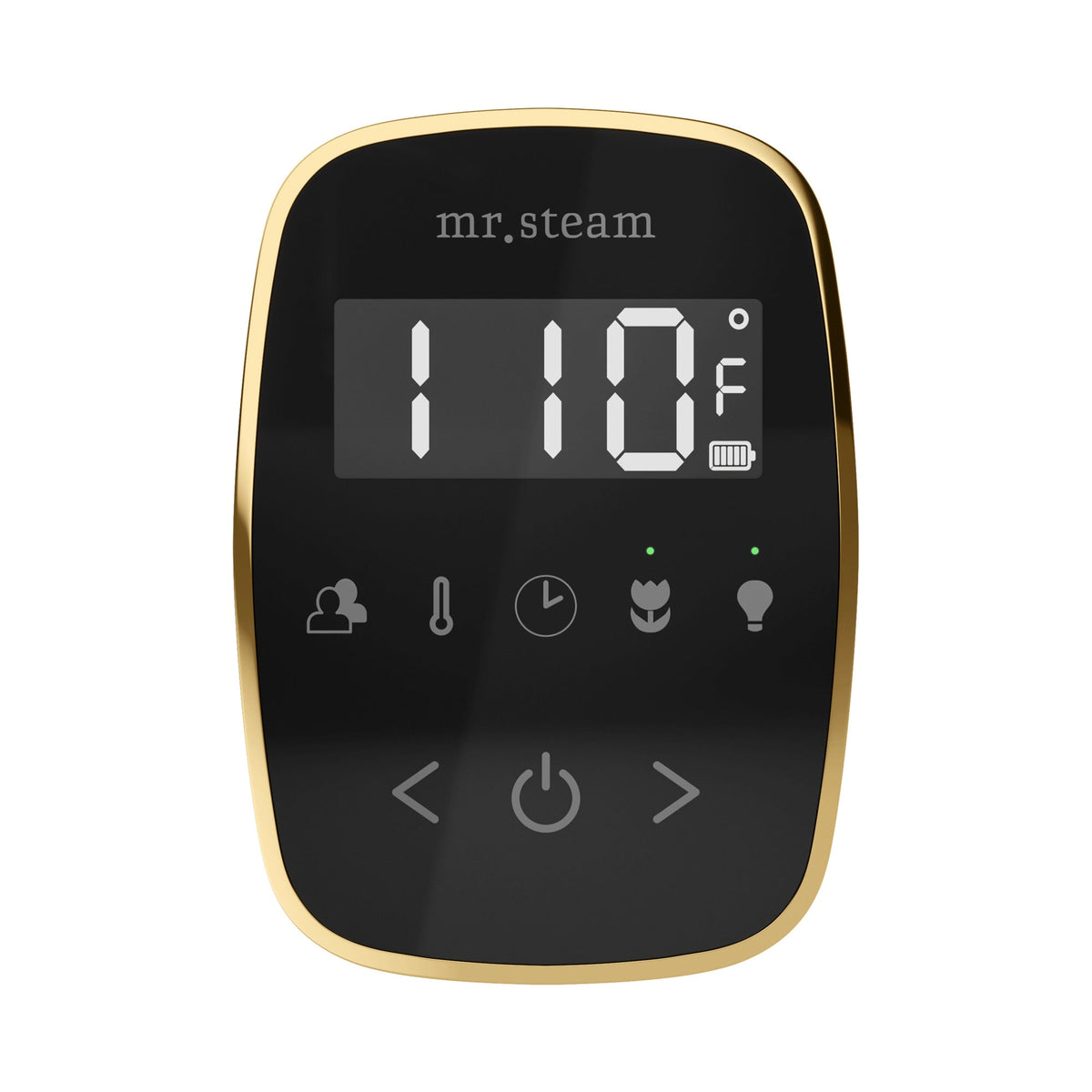 Mr. Steam TempoFlex Wireless Steam Shower Control and Steamhead – Black Control, 8 Steamhead Finishes