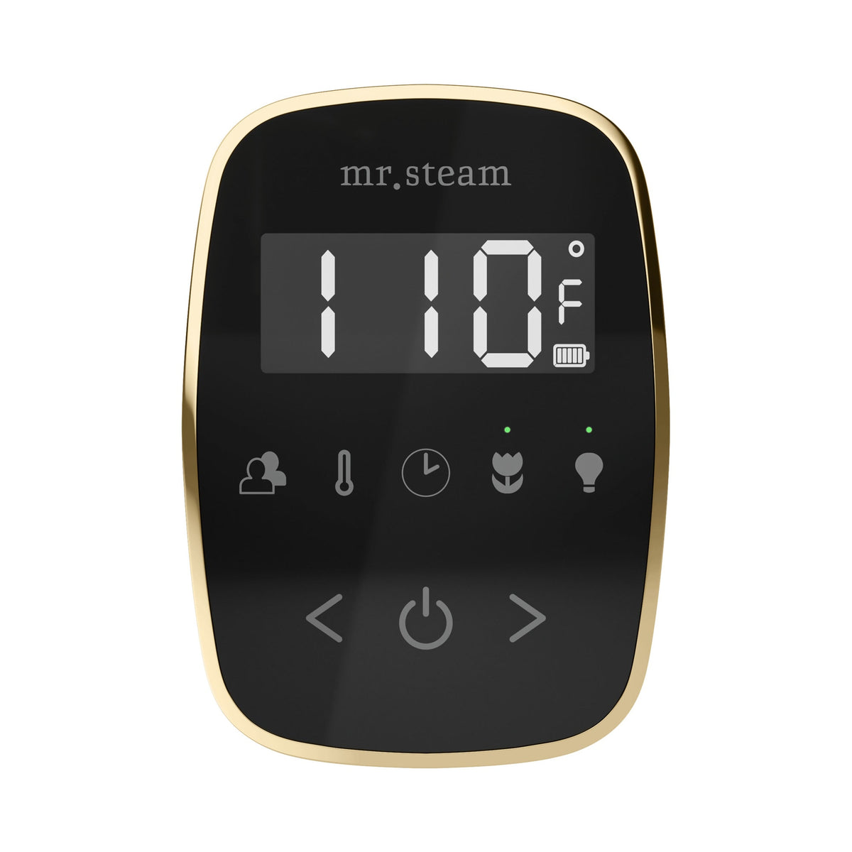 Mr. Steam TempoFlex Wireless Steam Shower Control and Steamhead – Black Control, 8 Steamhead Finishes