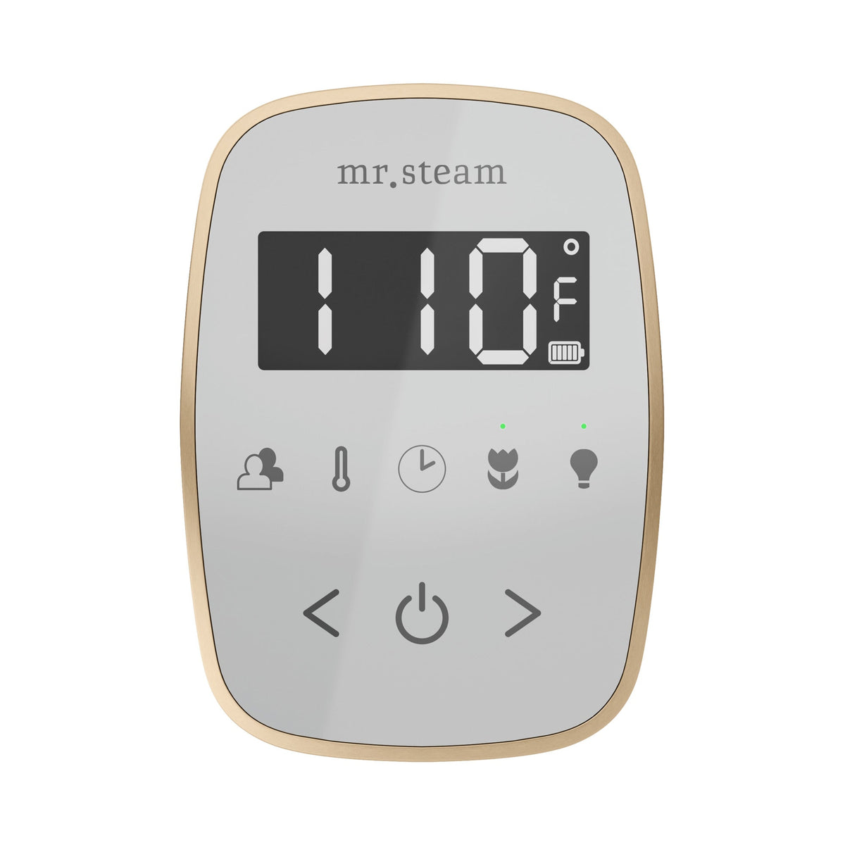 Mr. Steam TempoFlex Wireless Steam Shower Control and Steamhead – White Control, 8 Steamhead Finishes