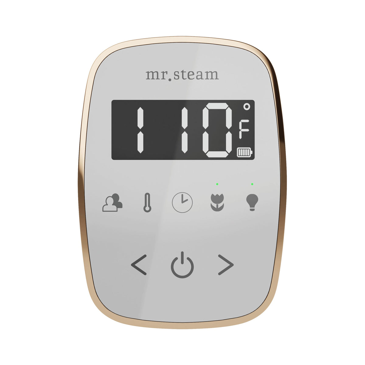 Mr. Steam TempoFlex Wireless Steam Shower Control and Steamhead – White Control, 8 Steamhead Finishes