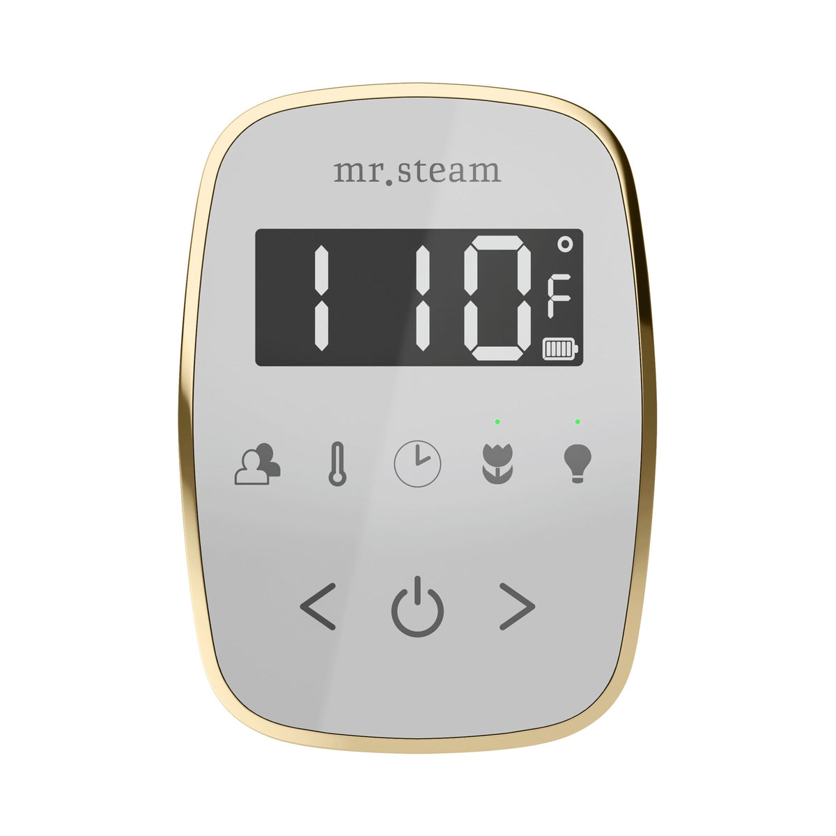 Mr. Steam TempoFlex Wireless Steam Shower Control and Steamhead – White Control, 8 Steamhead Finishes