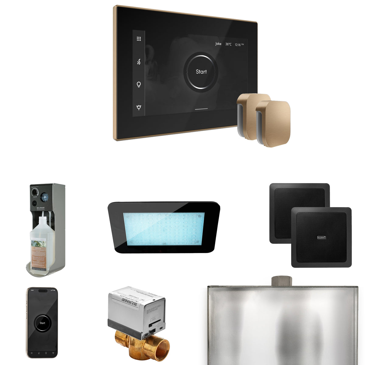 Mr. Steam XDream Max Steam Shower Package – iSteamX Control, Aroma Steamhead, AudioX, ChromaSteam, AromaSteam & Max AutoFlush for Max Generators