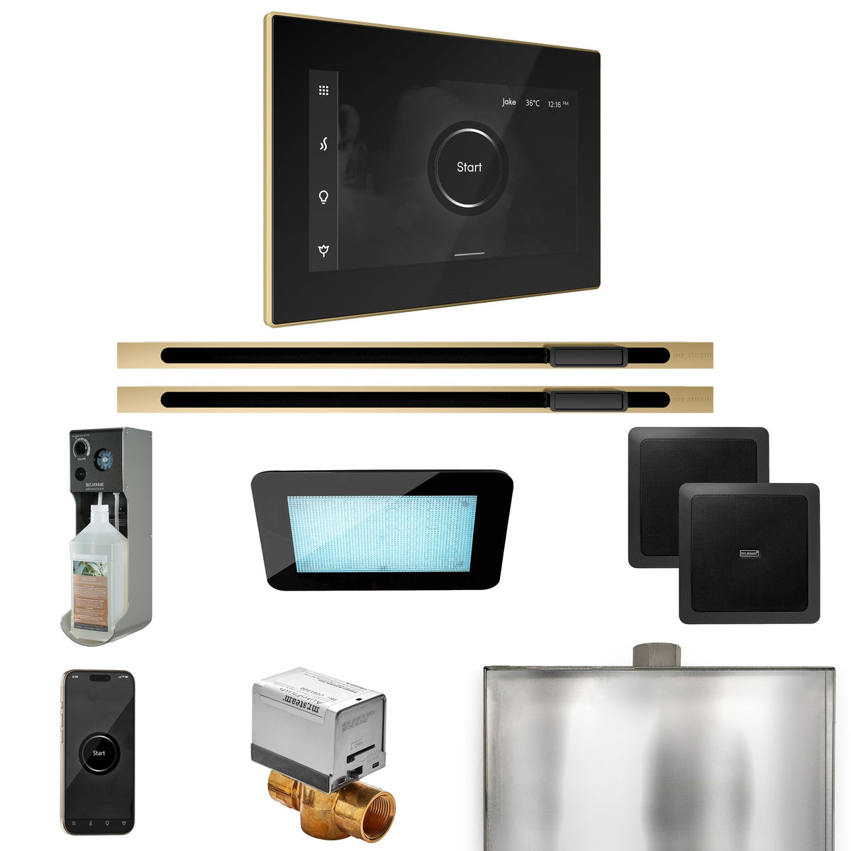 Mr. Steam XDream Max Linear Steam Shower Package – iSteamX Control, Linear Steamhead, AudioX, ChromaSteam & AromaSteam for Max Generators
