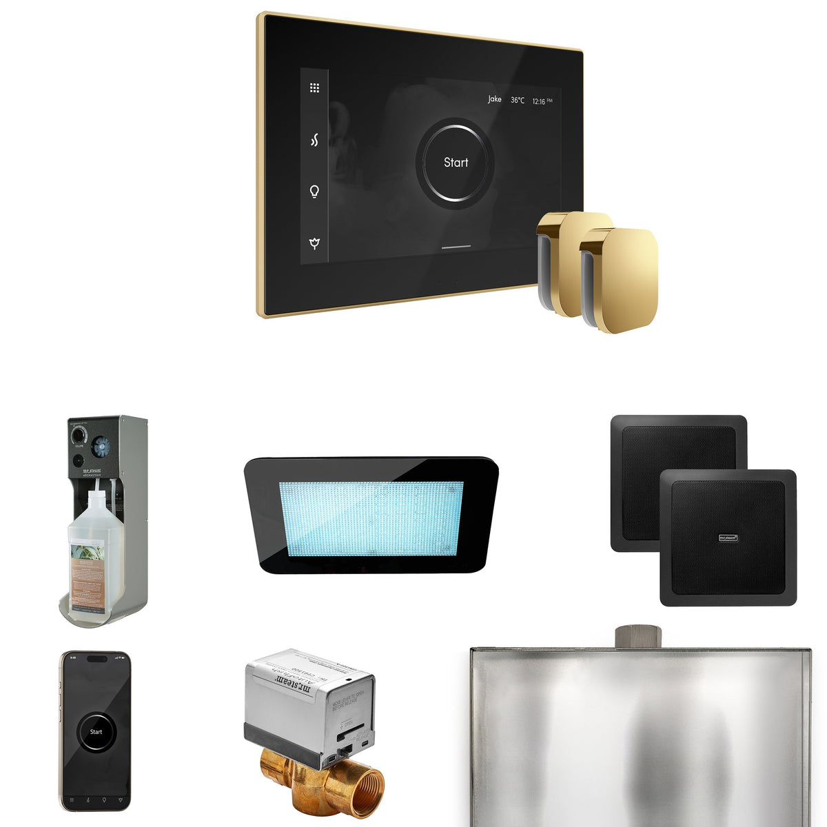 Mr. Steam XDream Max Steam Shower Package – iSteamX Control, Aroma Steamhead, AudioX, ChromaSteam, AromaSteam & Max AutoFlush for Max Generators