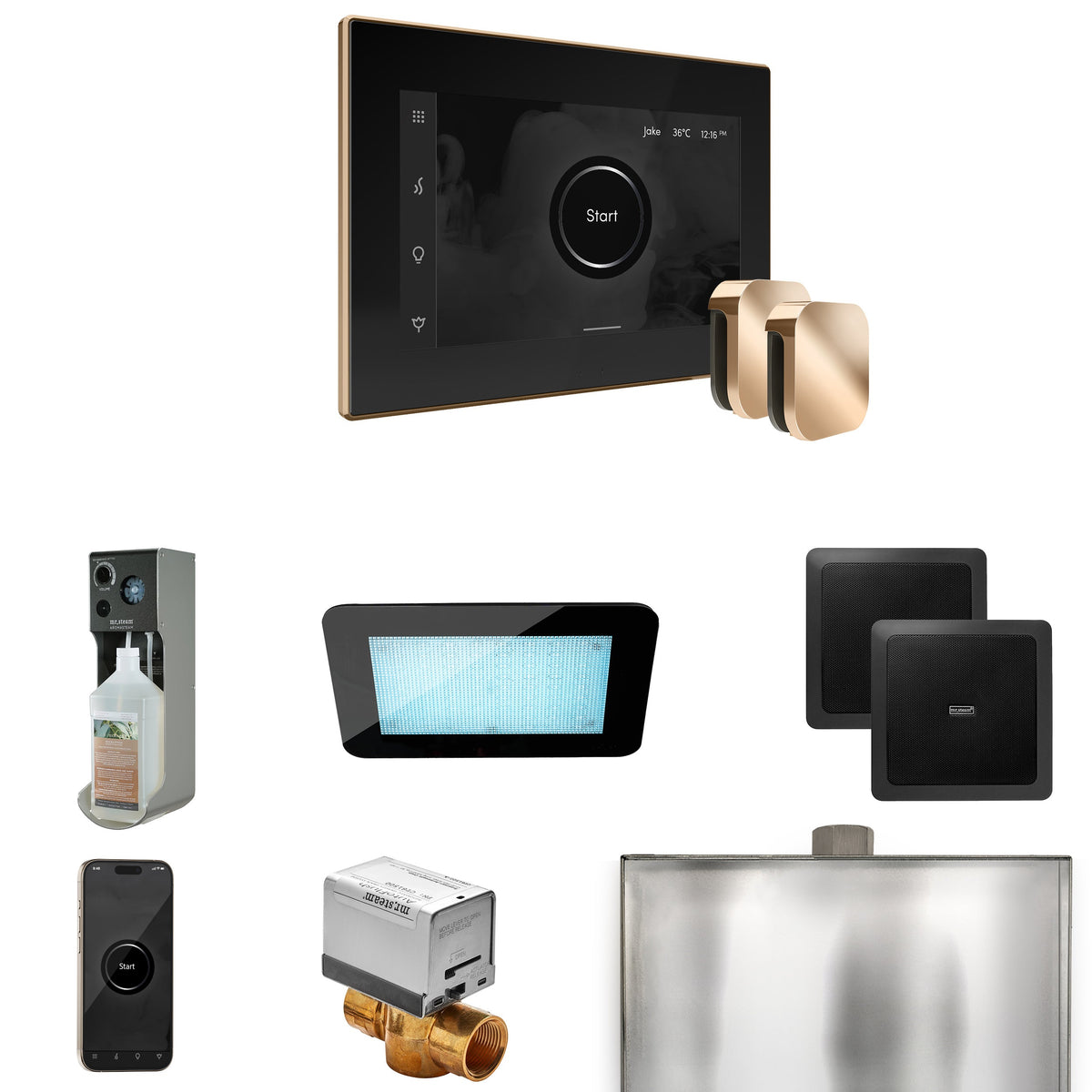 Mr. Steam XDream Max Steam Shower Package – iSteamX Control, Aroma Steamhead, AudioX, ChromaSteam, AromaSteam & Max AutoFlush for Max Generators