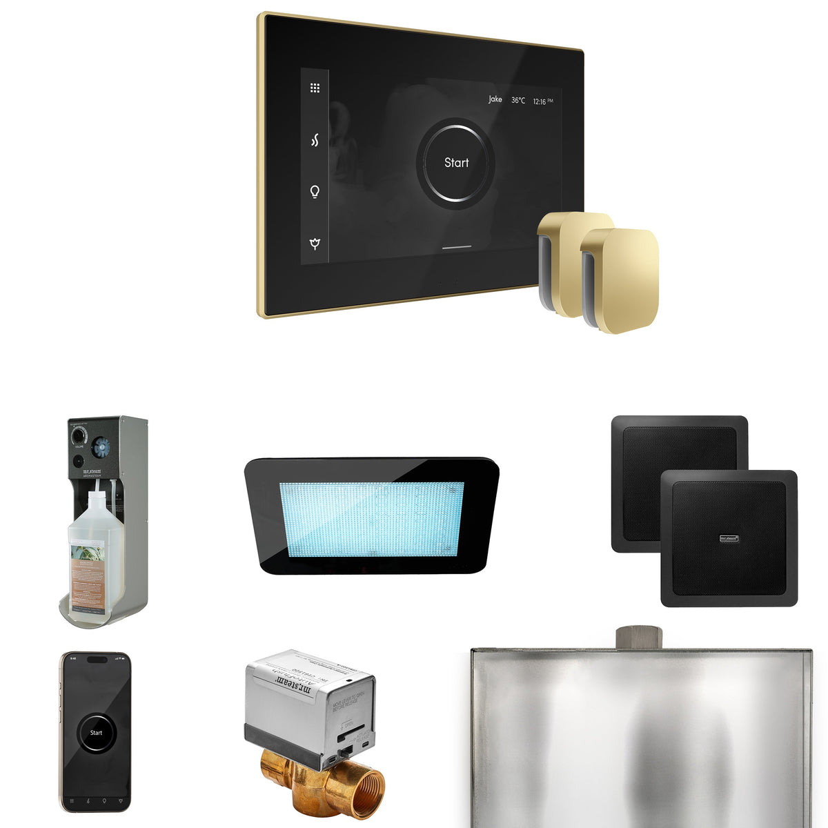 Mr. Steam XDream Max Steam Shower Package – iSteamX Control, Aroma Steamhead, AudioX, ChromaSteam, AromaSteam & Max AutoFlush for Max Generators
