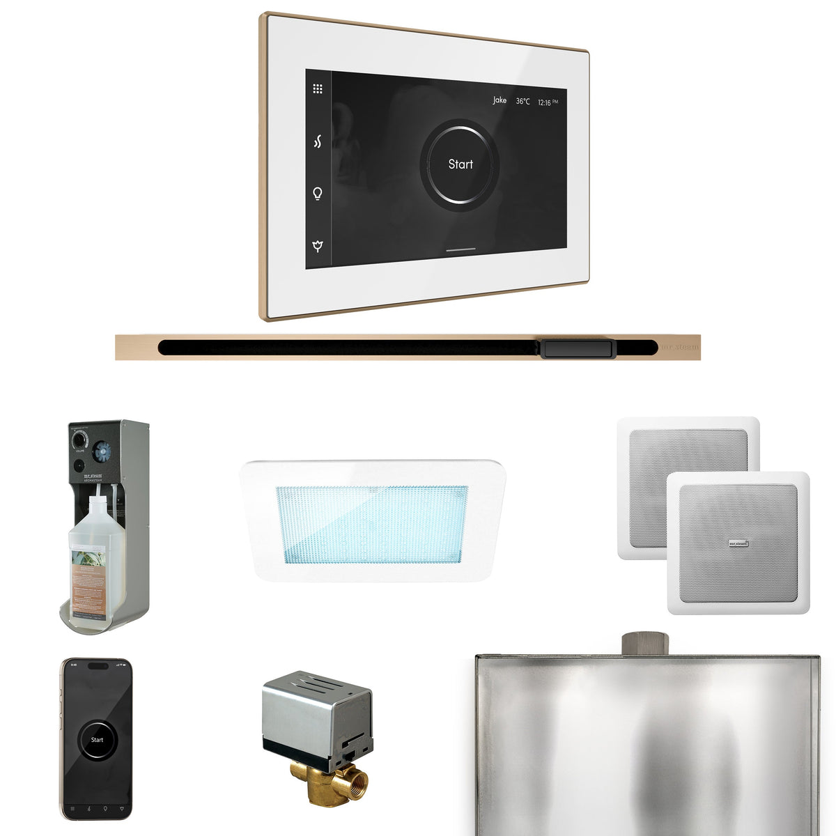 Mr. Steam XDream Linear Steam Shower Package – iSteamX, Linear Steamhead, AudioX, ChromaSteam, AromaSteam & AutoFlush for MS & Super Generators