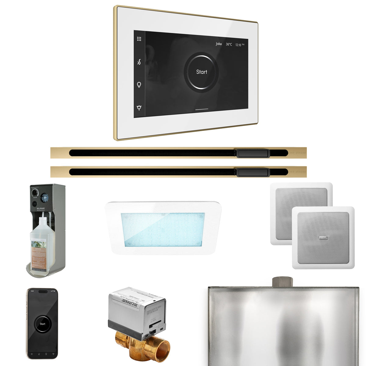 Mr. Steam XDream Max Linear Steam Shower Package – iSteamX Control, Linear Steamhead, AudioX, ChromaSteam & AromaSteam for Max Generators
