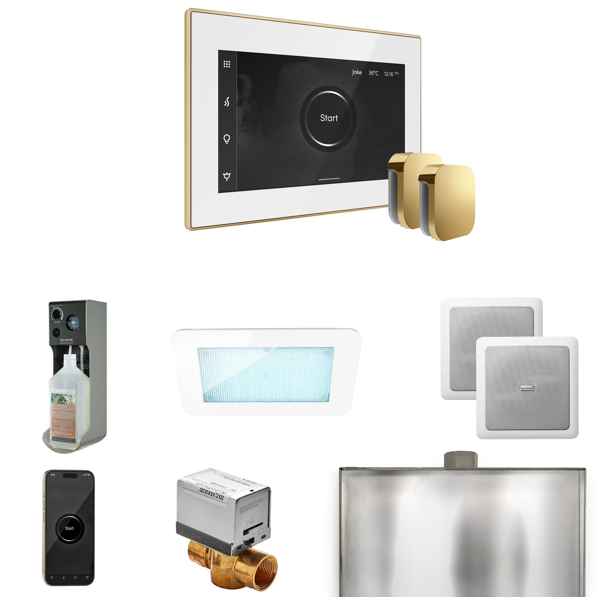 Mr. Steam XDream Max Steam Shower Package – iSteamX Control, Aroma Steamhead, AudioX, ChromaSteam, AromaSteam & Max AutoFlush for Max Generators